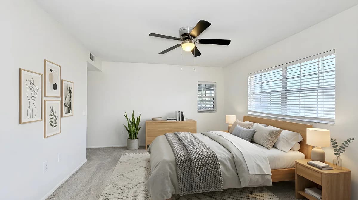 St. Petersburg apartments for rent - image - Coquina Elite - Bedroom (Staged)