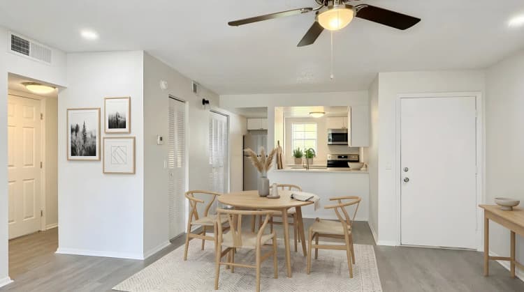 St. Petersburg apartments for rent - image - Coquina Elite - Dining Room (Staged)