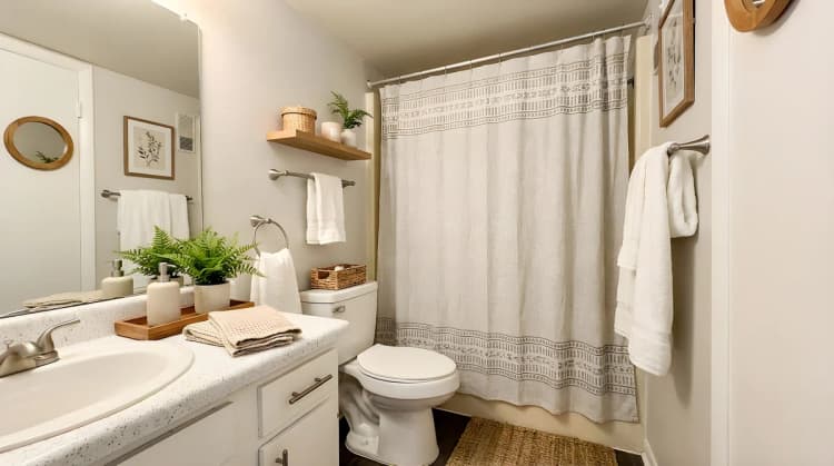St. Petersburg apartments for rent - image - entrata_photo_1787590027257