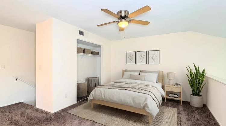 St. Petersburg apartments for rent - image - entrata_photo_1787590027257