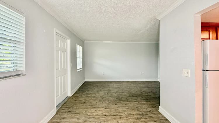 St. Petersburg apartments for rent - image - Starfish Classic - Living Room