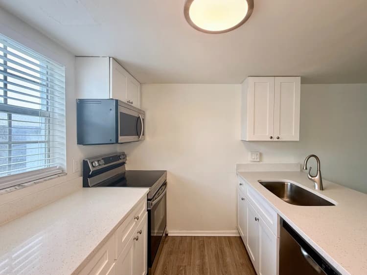 St. Petersburg apartments for rent - image - Sea Horse Elite - Kitchen