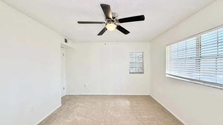 St. Petersburg apartments for rent - image - Coquina Elite - Bedroom