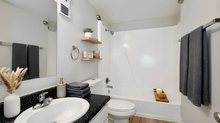 St. Petersburg apartments for rent - image - Shell Premium - Bathroom (Staged)