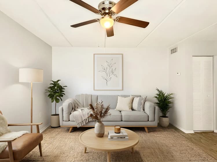 St. Petersburg apartments for rent - image - Shell Premium - Living Room (Staged)