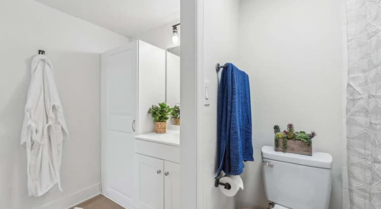 St. Petersburg apartments for rent - image - Atlas at Bay Point - Washroom 1.jpg