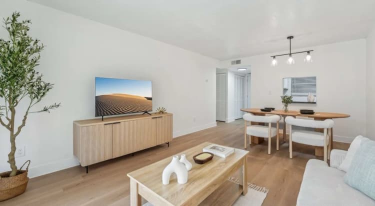 St. Petersburg apartments for rent - image - Atlas at Bay Point - TV Launch 2.jpg