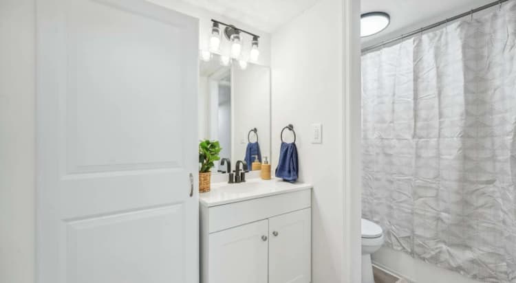 St. Petersburg apartments for rent - image - Atlas at Bay Point - Washroom.jpg