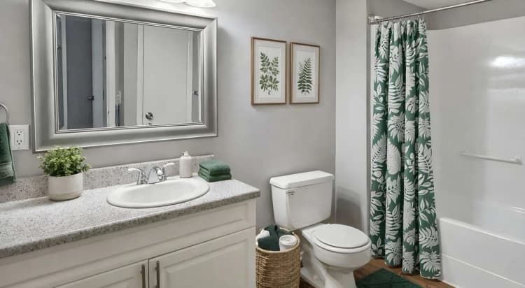 St. Petersburg apartments for rent - image - Central Park at East Bay - Washroom.jpeg