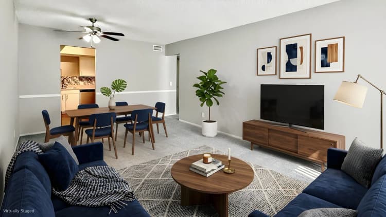 St. Petersburg apartments for rent - image - Premium One-Bedroom - Living Room - Carpet Option (Staged)