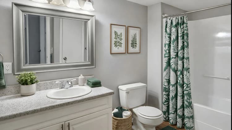 St. Petersburg apartments for rent - image - Premium One-Bedroom - Bathroom (Staged)
