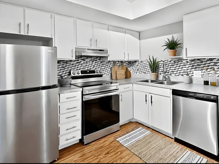 St. Petersburg apartments for rent - image - Premium One-Bedroom - Kitchen (Staged)