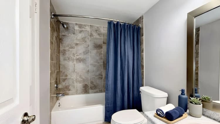 St. Petersburg apartments for rent - image - Premium Two Bedroom - Bathroom (Staged)
