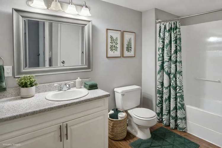 St. Petersburg apartments for rent - image - entrata_photo_1787589995398