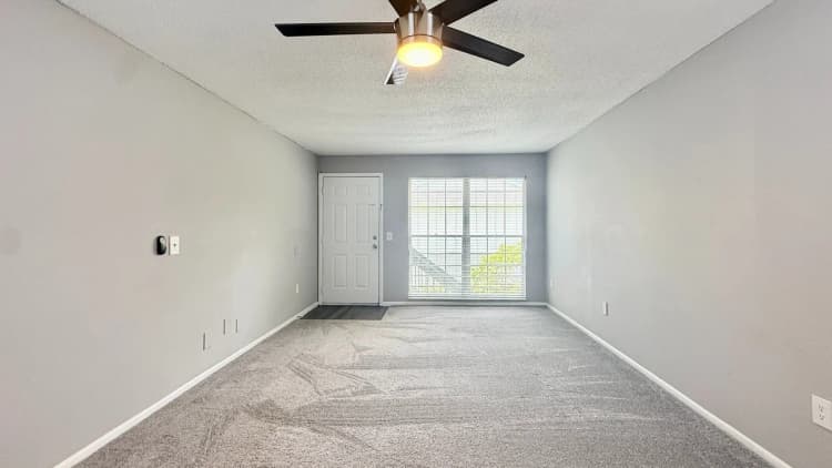 St. Petersburg apartments for rent - image - Premium One-Bedroom - Living Room - Carpet Option