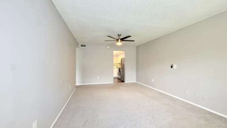 St. Petersburg apartments for rent - image - Premium One-Bedroom - Living Room - Carpet Option