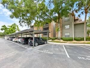 St. Petersburg apartments for rent - Property image - 1400 Gandy Blvd N - 3