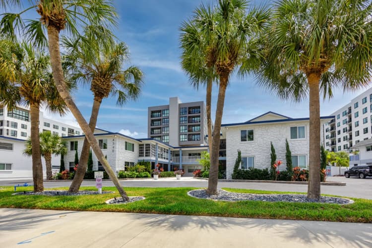 St. Petersburg apartments for rent - image - image-3.jpg