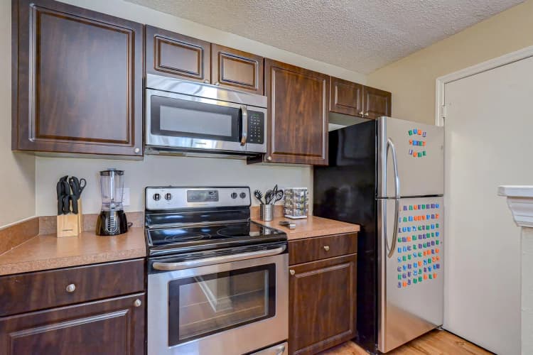 St. Petersburg apartments for rent - image - image-4.jpg