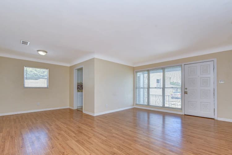 St. Petersburg apartments for rent - image - image-4.jpg