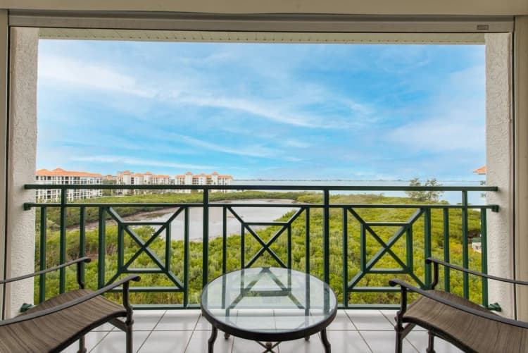 St. Petersburg apartments for rent - image - image-6.jpg