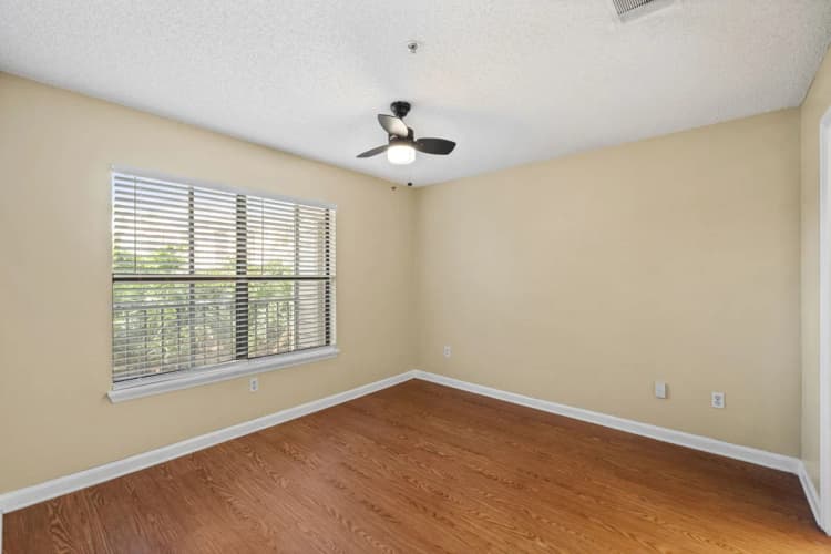 St. Petersburg apartments for rent - image - image-4.jpg
