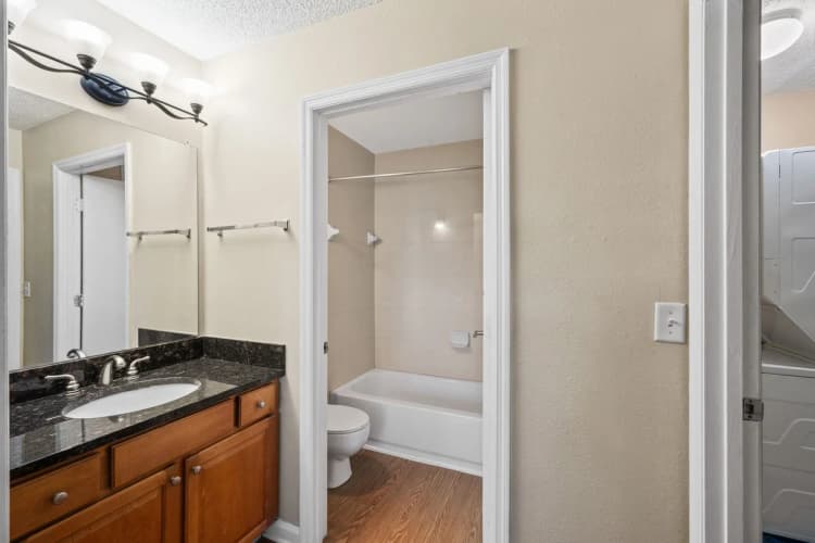 St. Petersburg apartments for rent - image - image-5.jpg