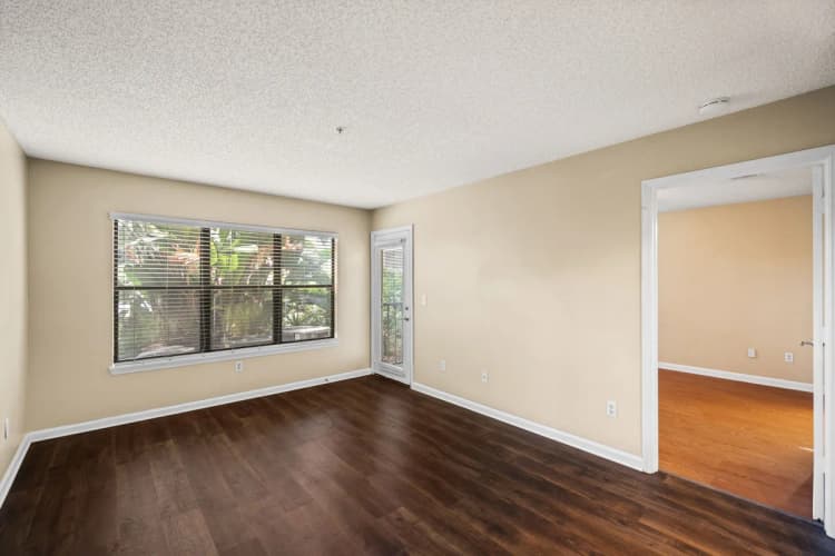 St. Petersburg apartments for rent - image - image-2.jpg